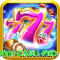 33nn Cash Pro