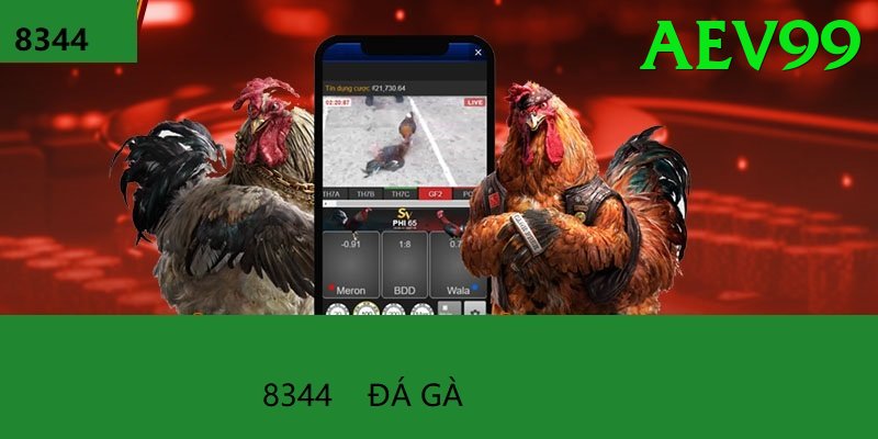Đá Gà Trực Tiếp - aev99 - Game casual